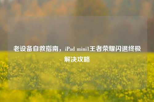 老设备自救指南,iPad mini1王者荣耀闪退终极解决攻略