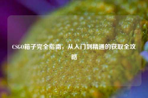 CSGO箱子完全指南，从入门到精通的获取全攻略