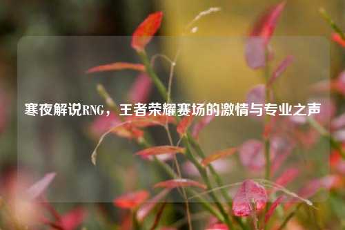 寒夜解说RNG，王者荣耀赛场的激情与专业之声
