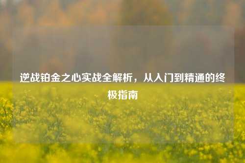 逆战铂金之心实战全解析,从入门到精通的终极指南