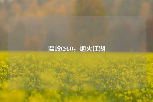 温岭CSGO,烟火江湖