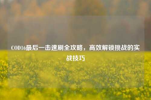 COD16最后一击速刷全攻略，高效解锁挑战的实战技巧