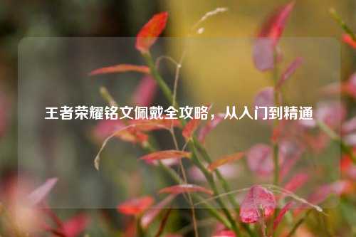王者荣耀铭文佩戴全攻略，从入门到精通