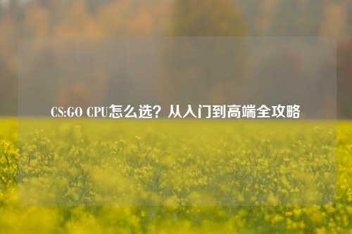 CS:GO CPU怎么选?从入门到高端全攻略
