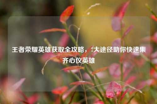 王者荣耀英雄获取全攻略,7大途径助你快速集齐心仪英雄