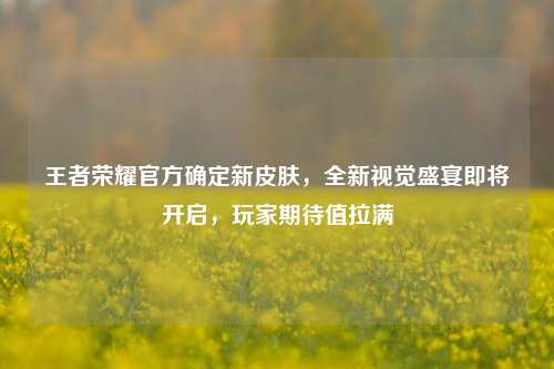 王者荣耀官方确定新皮肤，全新视觉盛宴即将开启，玩家期待值拉满