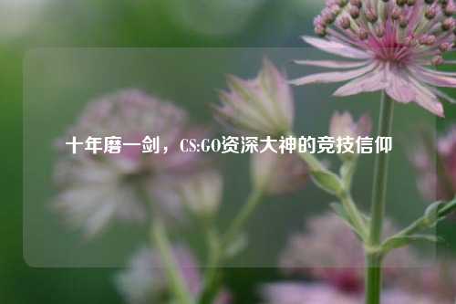 十年磨一剑，CS:GO资深大神的竞技信仰