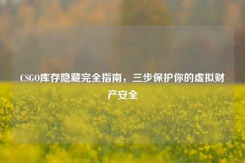 CSGO库存隐藏完全指南,三步保护你的虚拟财产安全