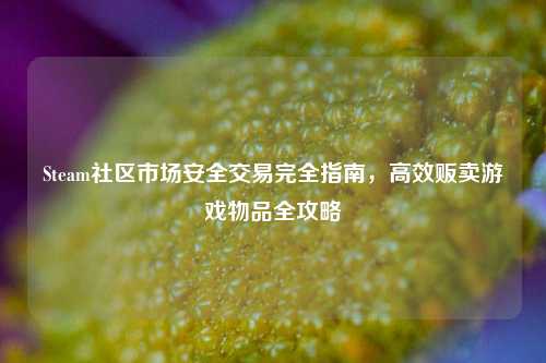 Steam社区市场安全交易完全指南,高效贩卖游戏物品全攻略