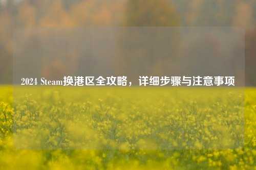 2024 Steam换港区全攻略,详细步骤与注意事项