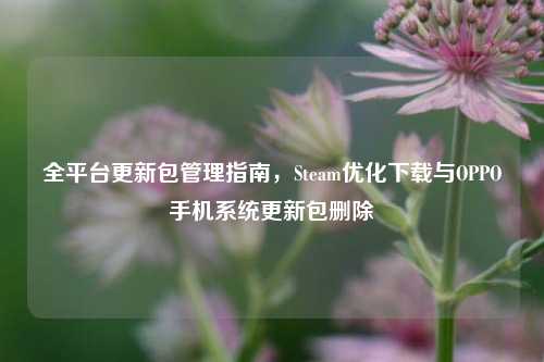 全平台更新包管理指南,Steam优化下载与OPPO手机系统更新包删除