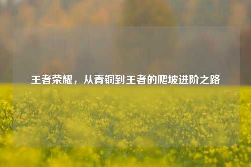 王者荣耀，从青铜到王者的爬坡进阶之路