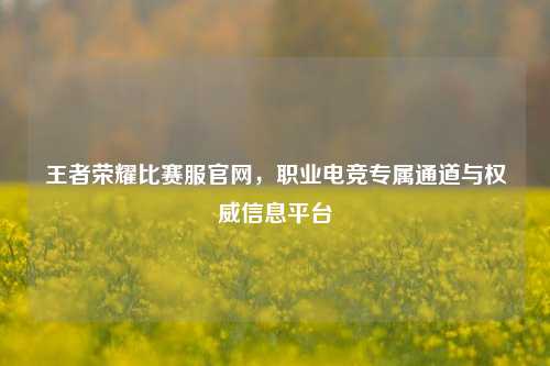 王者荣耀比赛服官网，职业电竞专属通道与权威信息平台