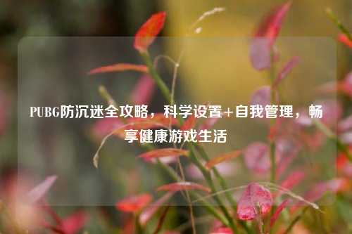 PUBG防沉迷全攻略,科学设置+自我管理,畅享健康游戏生活