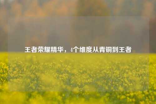 王者荣耀精华，4个维度从青铜到王者