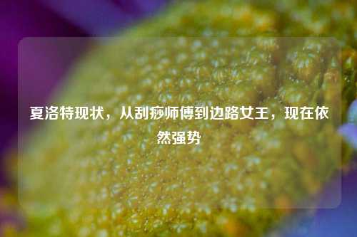 夏洛特现状,从刮痧师傅到边路女王,现在依然强势