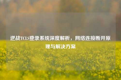 逆战TCLS登录系统深度解析，网络连接断开原理与解决方案