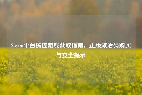 Steam平台杨过游戏获取指南,正版激活码购买与安全提示