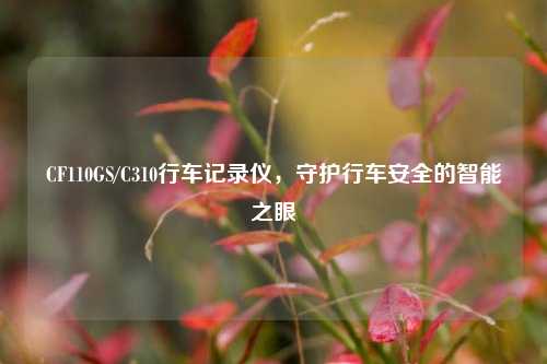 CF110GS/C310行车记录仪,守护行车安全的智能之眼