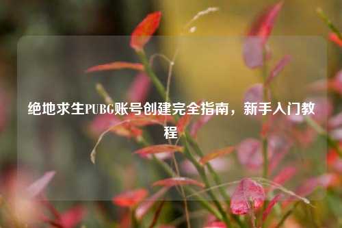绝地求生PUBG账号创建完全指南，新手入门教程
