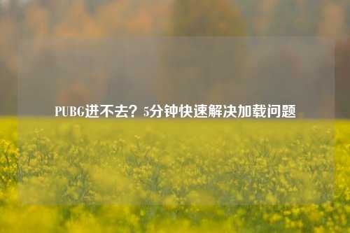 PUBG进不去？5分钟快速解决加载问题