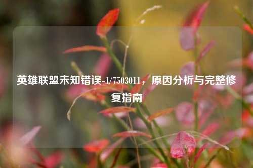英雄联盟未知错误-1/7503011，原因分析与完整修复指南