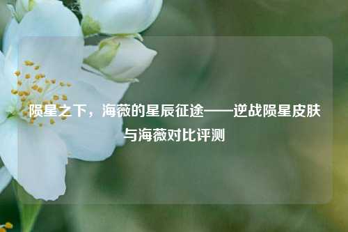 陨星之下,海薇的星辰征途——逆战陨星皮肤与海薇对比评测