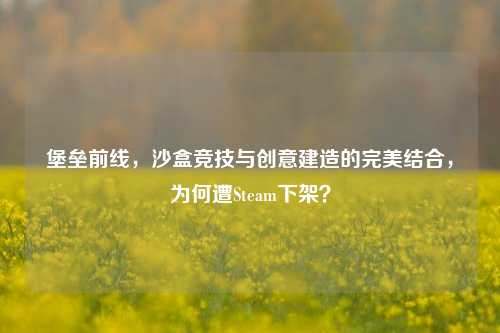 堡垒前线,沙盒竞技与创意建造的完美结合,为何遭Steam下架?