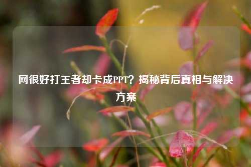 网很好打王者却卡成PPT？揭秘背后真相与解决方案
