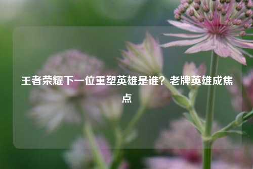 王者荣耀下一位重塑英雄是谁？老牌英雄成焦点