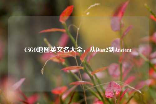 CSGO地图英文名大全，从Dust2到Ancient