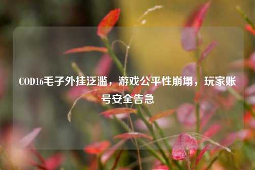 COD16毛子外挂泛滥，游戏公平性崩塌，玩家账号安全告急
