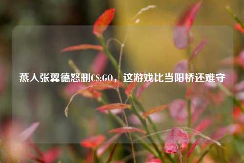 燕人张翼德怒删CS:GO，这游戏比当阳桥还难守