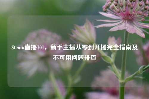 Steam直播101，新手主播从零到开播完全指南及不可用问题排查