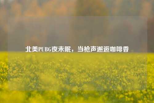 北美PUBG夜未眠,当枪声邂逅咖啡香