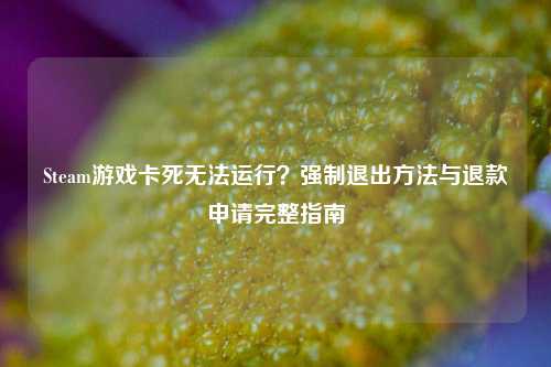 Steam游戏卡死无法运行?强制退出方法与退款申请完整指南
