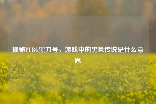 揭秘PUBG黑刀号,游戏中的黑色传说是什么意思