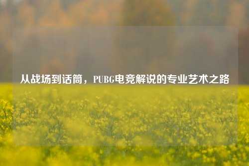 从战场到话筒,PUBG电竞解说的专业艺术之路