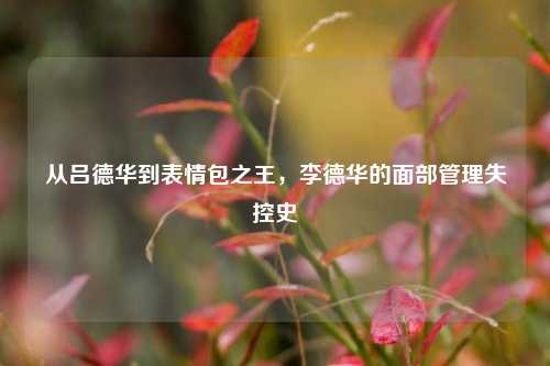 从吕德华到表情包之王，李德华的面部管理失控史