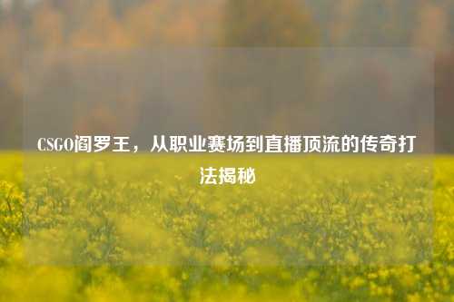 CSGO阎罗王,从职业赛场到直播顶流的传奇打法揭秘