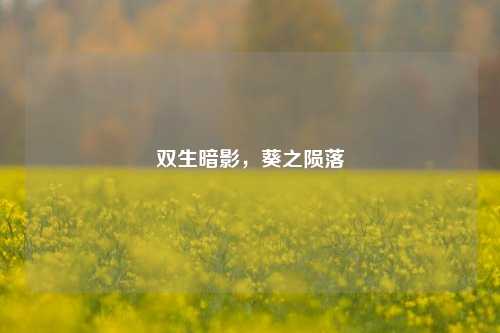 双生暗影，葵之陨落