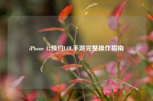 iPhone 12预约LOL手游完整操作指南