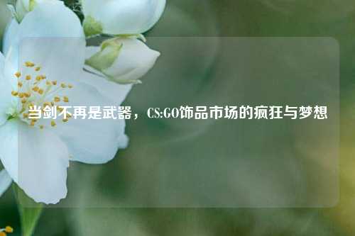 当剑不再是武器，CS:GO饰品市场的疯狂与梦想