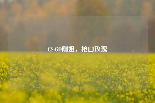 CS:GO刚姐，枪口玫瑰