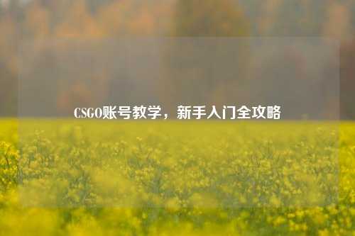 CSGO账号教学，新手入门全攻略