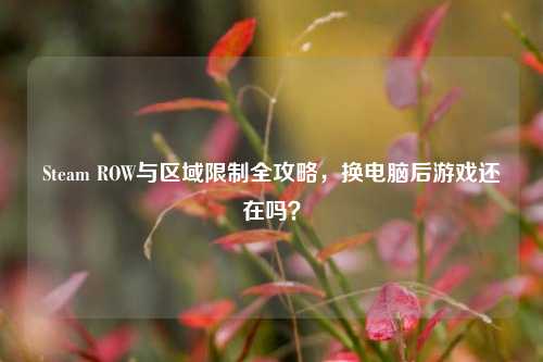 Steam ROW与区域限制全攻略，换电脑后游戏还在吗？