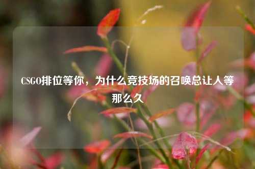 CSGO排位等你,为什么竞技场的召唤总让人等那么久
