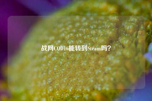 战网COD16能转到Steam吗?