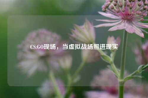 CS:GO现场，当虚拟战场照进现实
