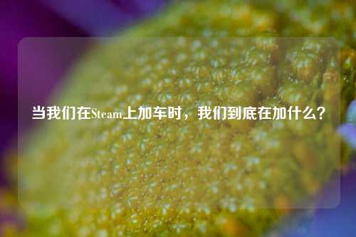 当我们在Steam上加车时，我们到底在加什么？